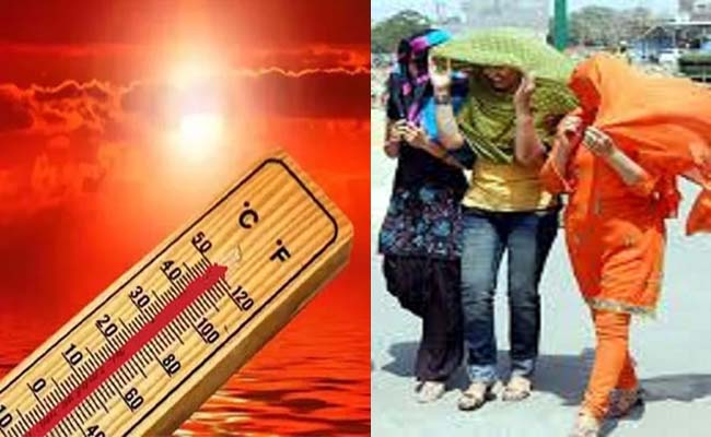 क्या वाकई दिल्ली में 52.9 डिग्री सेल्सियस तक पहुंच गया था पारा? केंद्रीय मंत्री ने उठाए सवाल, IMD मामले की करेगा जांच