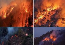 Uttarakhand Forest Fire: बारिश के बाद फिर से धधकने लगे जंगल, गढ़वाल से कुमाऊं तक वनाग्नि के सात नए मामले