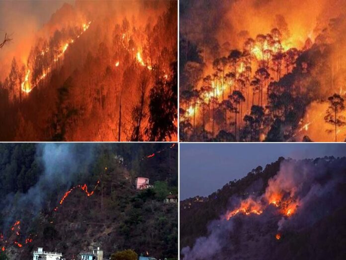 Uttarakhand Forest Fire: बारिश के बाद फिर से धधकने लगे जंगल, गढ़वाल से कुमाऊं तक वनाग्नि के सात नए मामले