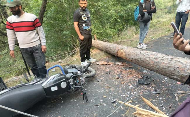 दुखद हादसा: आंधी-तूफान से बाइक सवार युवकों के ऊपर गिरा चीड़ का पेड़, दोनों की मौत pine tree fell on the bike riders