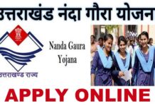 उत्तराखंड में 12वीं पास बालिकाओं को मिलेंगे 51 हजार रुपये, नंदा गौरा योजना के लिए ऑनलाइन आवेदन शुरू, यहाँ करें अप्लाई Nanda Gaura Yojana