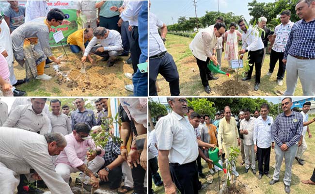 एक पेड़ मां के नाम’ अभियान का आगाज, ग्रेनो प्राधिकरण ने अब तक डेढ़ लाख पौधे लगाए