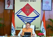 धामी सरकार ने प्रति माह औसत 518 युवाओं को दी सरकारी नौकरी, साढ़े चार साल के कार्यकाल में 28 हजार से अधिक युवाओं को मिली सरकारी नौकरी