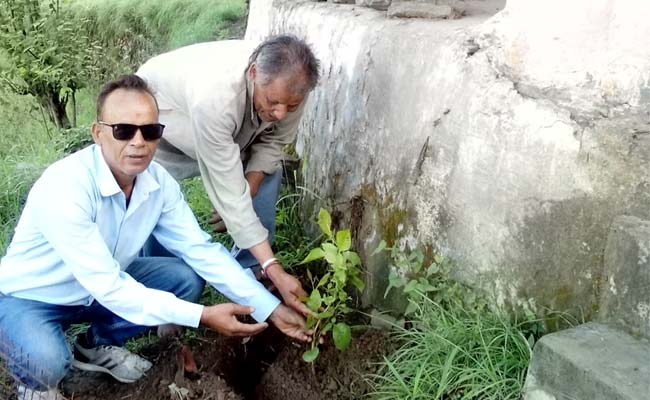 हरेला पर्व पर प्राथमिक विद्यालय जोगड़ी में वृक्षारोपण कार्यक्रम