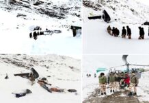 माणा हिमस्खलन: ग्लेशियर के मलबे में दबे 50 मजदूर निकाले, 4 की मौत, 5 की तलाश जारी Uttarakhand Badrinath Avalanche News