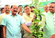 हरेला पर्व पर राज्यव्यापी पौधारोपण कार्यक्रम में मुख्यमंत्री ने रोपा रुद्राक्ष का पौधा