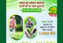 सीएम धामी के नेतृत्व में हरेला पर्व पर रिकॉर्ड बनाएगा उत्तराखंड, एक ही दिन पूरे प्रदेश में रोपे जाएंगे 05 लाख पौधे