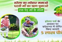 हरेला पर्व पर उत्तराखंड में एक ही दिन रोपे जायेंगे 5 लाख पौधे, मुख्यमंत्री ने प्रदेशवासियों को दी शुभकामना