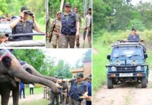 सीएम धामी ने कार्बेट नेशनल पार्क में किया जंगल सफारी का अनुभव